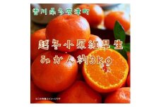 『越冬小原紅早生みかん』約3kg【予約受付中！令和8年1月中旬より発送！】【B-33】 