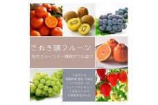 【フルーツ定期便】さぬき讃フルーツ６種類 旬のフルーツを１種類ずつお届け【G-4】