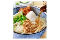 【定期便】本場純生讃岐うどん 10人前つゆ付 年６回奇数月に発送【H-48】