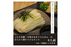 純生！これぞ真髄！本場さぬきうどんめん一の打ちたてうどんセット(8人前)【L-5】
