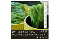 純生！本場さぬきうどんめん一の練り込みワカメザルうどん(8人前)【L-12】