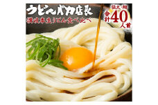 ≪自然の館≫味源 うどんバカ店長　本場讃岐の本生うどん食べ比べセット　純生タイプ【A-71】
