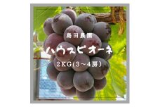 【令和7年8月中旬頃発送！予約受付中】島田農園　ピオーネ2kg（3房～4房入り）【A-78】 