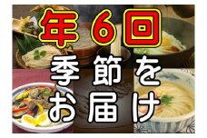 【定期便】うどん屋めん一の季節を感じる純生うどんセット(8人前) 年間6回定期発送【D-9】