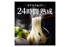 しあわせ製麺の『24時間熟成本場讃岐うどん』大盛8人前　鎌田醤油特製うどんつゆ付き【L-35】