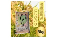 【令和7年産新米】多度津町産こしひかり 5kg 【L-38】