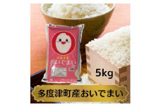 【令和6年産新米】多度津町産おいでまい 5kg【L-37】
