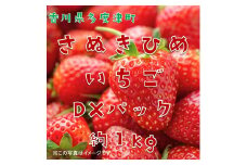 さぬきひめいちご 約1kgDXパック【予約受付中：令和7年12月より発送】【B-48】