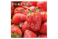 香川県オリジナル品種 さぬきひめいちご 約2kgパック【令和8年2月中旬頃より発送】【B-50】