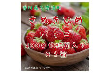 香川県オリジナル品種 さぬきひめいちご 約400g化粧箱入り(12～18粒)×2箱【令和8年2月中旬頃より発送】【B-49】