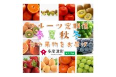【フルーツ定期便】フルーツ王国さぬきの旬のフルーツを毎月１種類ずつお届け【G-8】