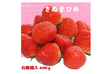 多度津いちごハローファーム　さぬきひめ　400g【令和7年1月より発送：予約受付分】【A-106】