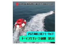 まるで海の上のコーヒーカップ！ トーイングチューブ体験　１名【L-55】