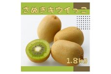 さぬきキウイっこ キウイフルーツ 1.8kg【予約受付中！令和7年11月中旬頃より発送！】【A-114】