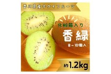 香緑（キウイフルーツ）1.2kg（ 8～10個） 化粧箱入り【予約受付中！令和7年11月中旬頃より発送！】【A-111】