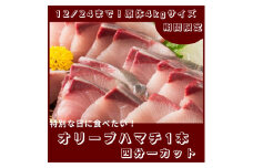 期間限定受付　オリーブハマチ１本まるごと（四分一カット）【C-233】
