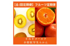 【全2回フルーツ定期便】さぬき讃フルーツ　さぬきゴールドと小原紅早生みかん【C-24】