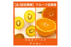 【全2回フルーツ定期便】さぬき讃フルーツ　さぬきゴールドと不知火(デコポン)【C-26】