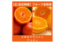 【全2回フルーツ定期便】さぬき讃フルーツ　不知火(デコポン)と小原紅早生みかん【C-28】