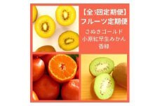【全3回フルーツ定期便】さぬき讃フルーツさぬきゴールドと小原紅早生みかんと香緑【D-13】