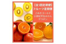 【全3回フルーツ定期便】さぬき讃フルーツさぬきゴールドと小原紅早生みかんと不知火【D-14】