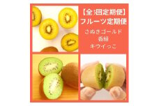 【全3回フルーツ定期便】さぬき讃フルーツさぬきゴールドと香緑とさぬきキウイっこ【D-16】