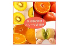 【全4回フルーツ定期便】さぬきゴールドと小原紅早生みかんとさぬきキウイっこと不知火【E-11】