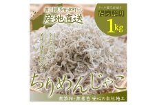 瀬戸内香川県産 ちりめん 1kg【A-133】