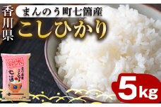 ＜令和5年産＞まんのう町七箇産 コシヒカリ(5kg) 【man031】【香川県食糧事業協同組合】