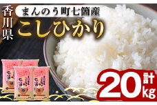 ＜令和5年産＞まんのう町七箇産 コシヒカリ(20kg) 【man034】【香川県食糧事業協同組合】