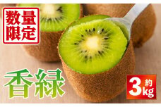 ＜先行予約！2025年11月下旬以降順次発送予定＞香川県産 香緑キウイ (約3kg) キウイ キウイフルーツ きうい フルーツ 産地直送 【man055】【Aglio nero】