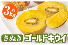＜先行予約！2025年10月中旬以降順次発送予定＞＜選べる容量＞香川県産 さぬきゴールドキウイ (約3kg) 【man063・man180】【Aglio nero】
