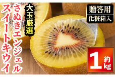 ＜先行予約！2025年11月中旬以降順次発送予定＞《贈答用・大玉厳選》さぬきエンジェルスイートキウイ (約1kg・化粧箱) 【man065】【Aglio nero】