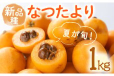 ＜先行予約！2026年5月下旬以降順次発送予定＞なつたより びわ (約1kg) ビワ びわ 果物 フルーツ 産地直送 【man066】【Aglio nero】