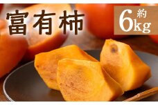 ＜先行予約！2025年10月下旬以降順次発送予定＞香川県産 富有柿(約6kg) 【man074】【Aglio nero】