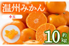 ＜先行予約！2025年10月上旬以降順次発送予定＞香川県産 温州みかん小玉サイズ(約10kg) 【man079】【Aglio nero】