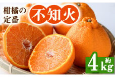 ＜先行予約！2026年2月下旬以降順次発送予定＞香川県産 不知火(約4kg) しらぬい 不知火 柑橘 フルーツ 産地直送 新鮮 香川 香川県 特産 果物 ふるーつ 旬 人気 お取り寄せ 【man093】【Aglio nero】