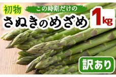 ＜先行予約！2026年2月中旬以降順次発送予定＞＜訳あり＞初物！アスパラガス さぬきのめざめ (約1kg) 【man090】【Aglio nero】