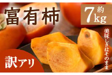 ＜先行予約！2025年10月下旬以降順次発送予定＞＜訳あり・家庭用＞香川県産 富有柿(約7kg) 【man087】【Aglio nero】