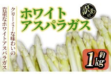 ＜期間限定！2025年3月上旬以降順次発送予定＞＜訳あり＞ホワイトアスパラガス(約1kg) 【man081】【Aglio nero】