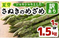 ＜期間限定！2025年6月上旬以降順次発送＞＜選べる容量＞夏芽！訳ありさぬきのめざめ (約1kg) 満足 アスパラガス 【man082・man083】【Aglio nero】