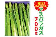 ＜先行予約！2026年2月下旬以降順次発送予定＞＜極太＞アスパラガス(約700g・2Lサイズ以上)  【man096】【Aglio nero】