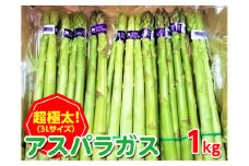 ＜先行予約！2026年2月下旬以降順次発送予定＞＜極太＞アスパラガス(約1kg/3Lサイズ)  【man095】【Aglio nero】