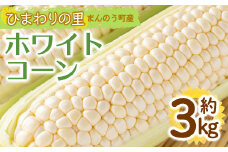 ＜先行予約！2026年6月上旬以降順次発送予定＞＜選べる容量＞ホワイトコーン(約3kg/通常品)  【man110・man111】【Aglio nero】