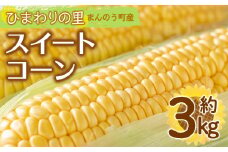 ＜先行予約！2026年6月上旬以降順次発送予定＞イエローコーン(約3kg)  【man113】【Aglio nero】