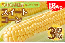 ＜先行予約！2026年6月上旬以降順次発送予定＞＜訳あり・家庭用＞イエローコーン(約3kg) 【man114・man115】【Aglio nero】