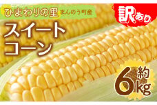 ＜先行予約！2026年6月上旬以降順次発送予定＞＜訳あり・家庭用＞イエローコーン(約6kg) 【man114・man115】【Aglio nero】