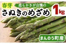 ＜先行予約！2026年2月下旬以降順次発送予定＞＜Lサイズも選べる＞春芽！太物アスパラガス「さぬきのめざめ」(約1kg)  【man116・man117】【Aglio nero】