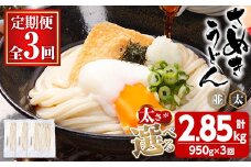 ＜訳あり・定期便＞＜太さが選べる＞半生うどん (2.85kg(3回)・極太) 訳あり 本場 讃岐 さぬき 香川県 麺 コシ 常温 常温保存 【man164-B】【こんぴらや販売】