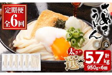 ＜訳あり・定期便＞＜太さが選べる＞半生うどん (5.7kg(6回)・並) 訳あり 本場 讃岐 さぬき 香川県 麺 コシ 常温 常温保存 【man164-C】【こんぴらや販売】